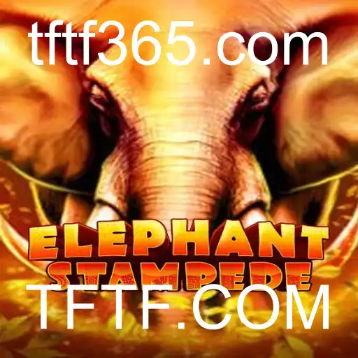 Desvendando o Universo de ElephantStampede: Um Mergulho nas Regras e Estruturas do Jogo